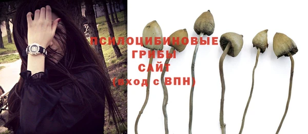 спиды Абинск
