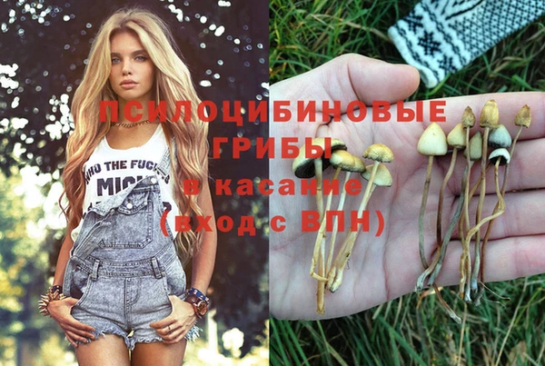бошки Абдулино