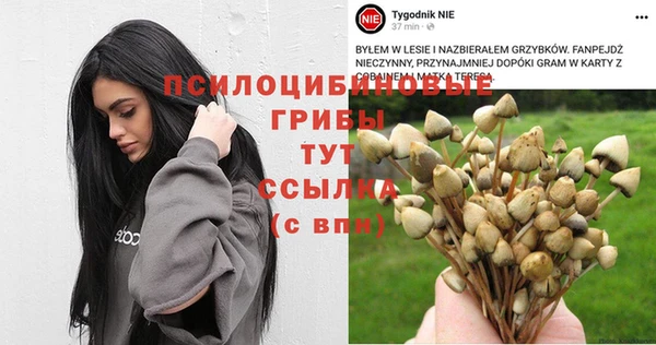 бошки Абдулино