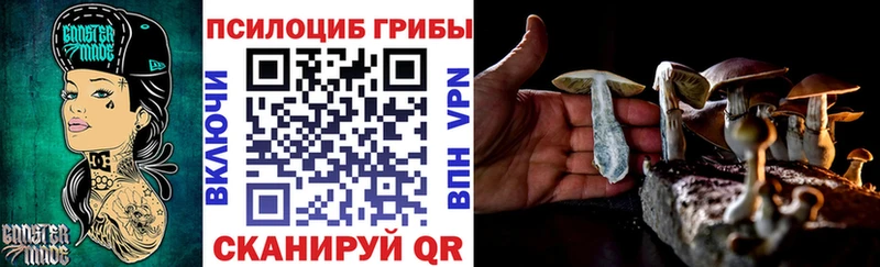закладки  Исилькуль  Псилоцибиновые грибы ЛСД 